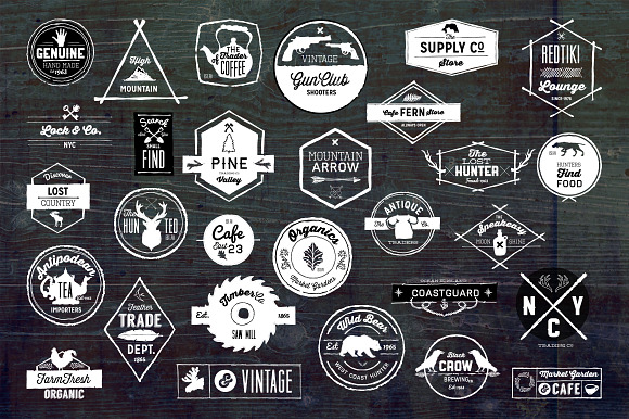30 Vintage Logos + Design Elements in Vintage Icons - product preview 1