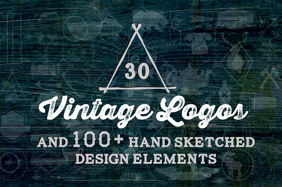 30 Vintage Logos + Design Elements in Vintage Icons - product preview 4