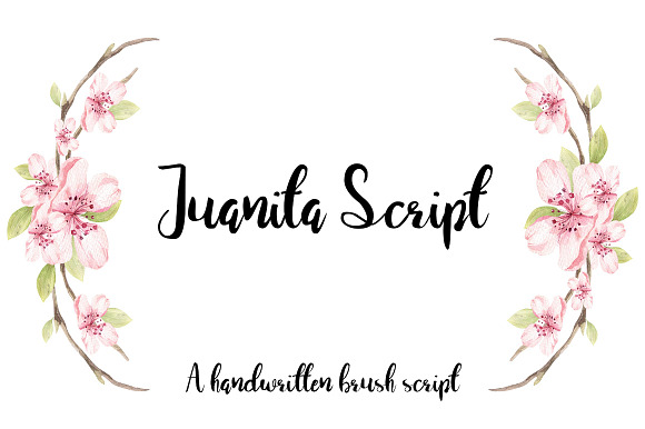 Juanita Brush Script in Script Fonts - product preview 3