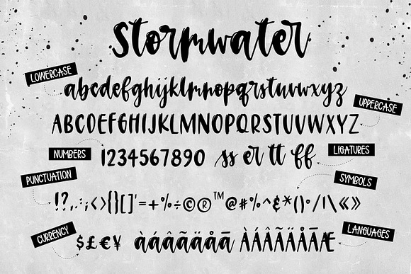 Stormwater Brush Font in Script Fonts - product preview 2