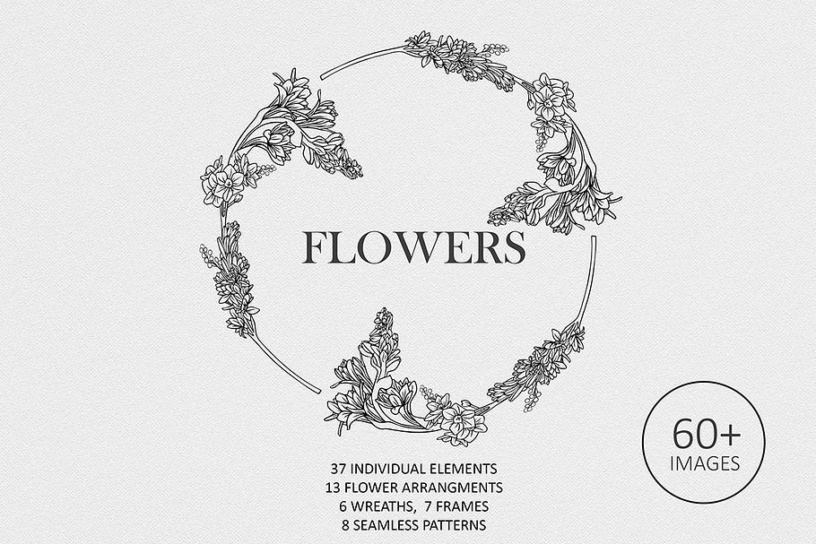 Flowers Collection in Illustrations - product preview 8