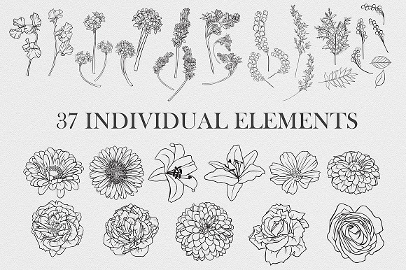 Flowers Collection in Illustrations - product preview 1