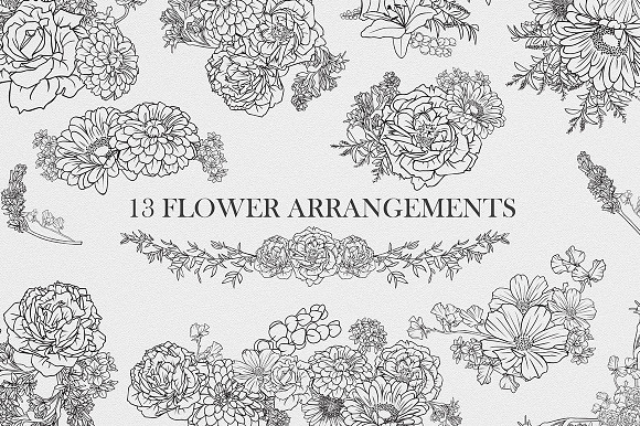Flowers Collection in Illustrations - product preview 2