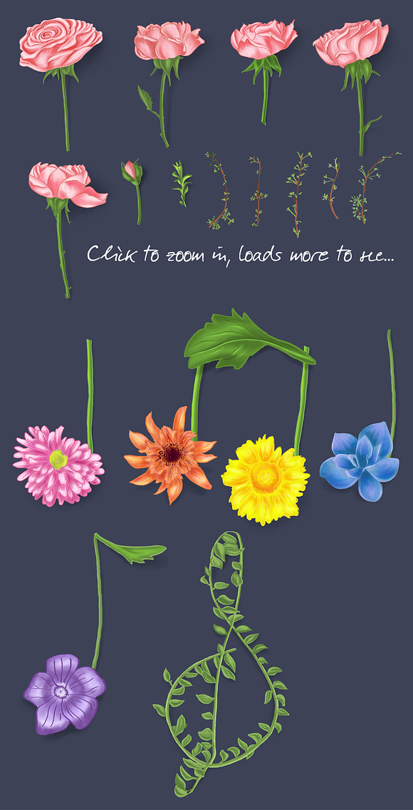Two flower set illustrations in Illustrations - product preview 2