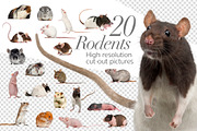 20 Rodents - Cut-out Pictures