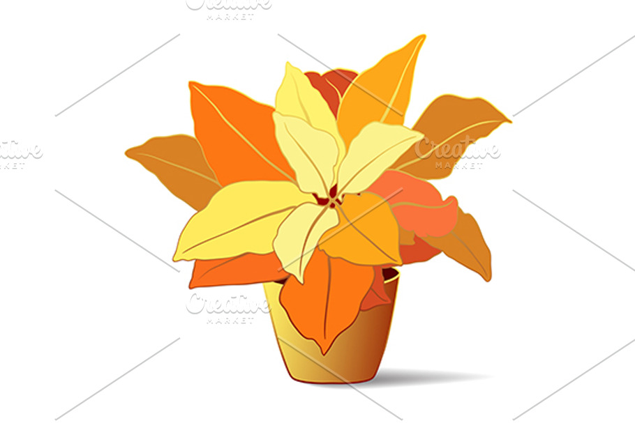 Codiaeum tropical plant vector in Illustrations - product preview 8