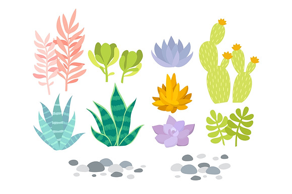Geometric terrariums with succulents in Illustrations - product preview 3