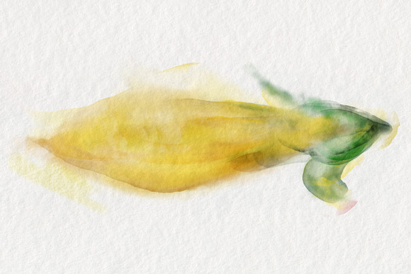 Best Watercolor Brushes — Procreate in Photoshop Brushes - product preview 1