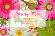 Spring Mix Elements