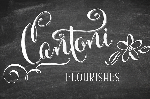 Cantoni Font Flourishes in Script Fonts - product preview 1