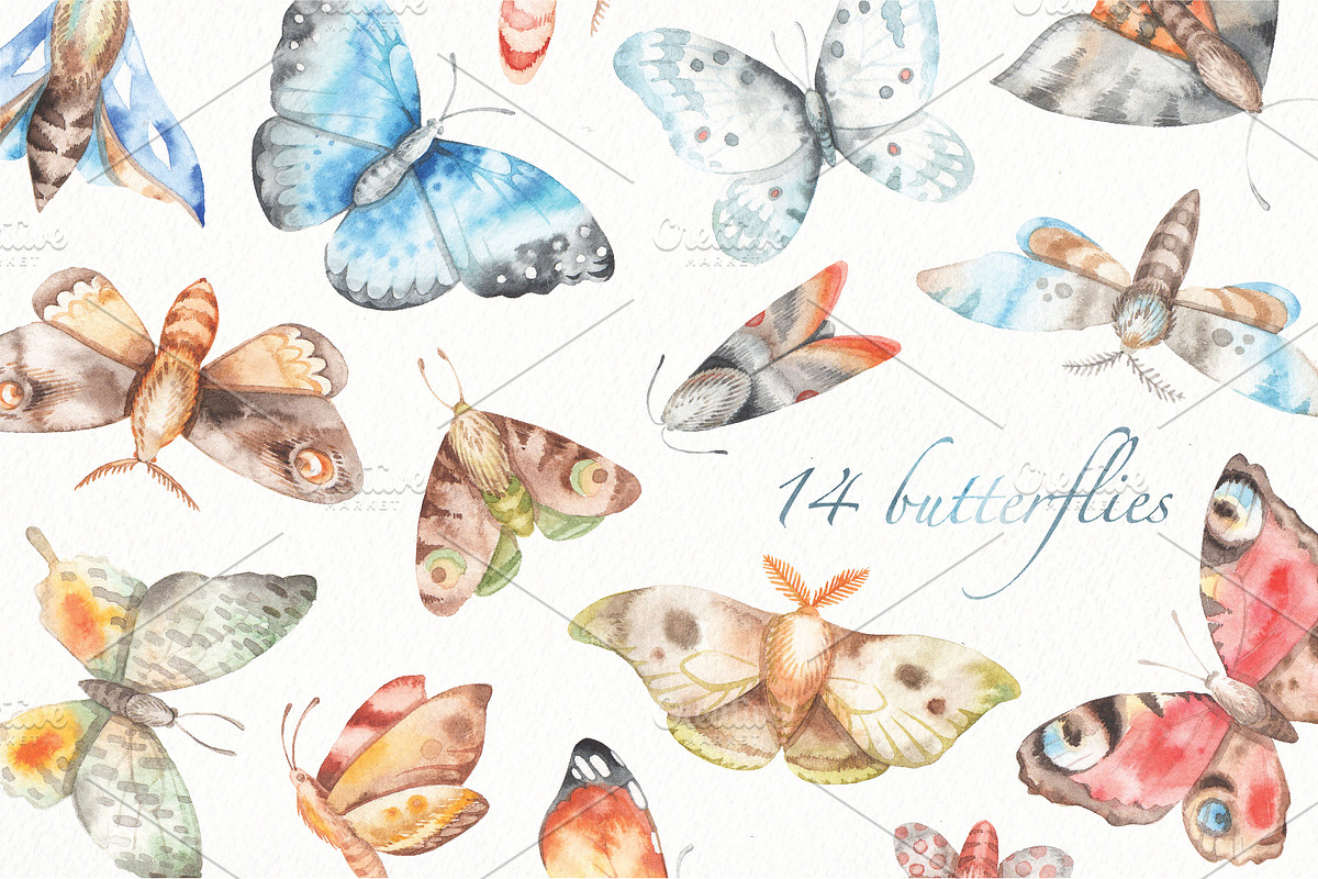 watercolor butteflies set in Illustrations - product preview 8