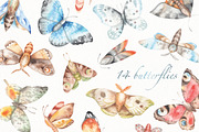 watercolor butteflies set