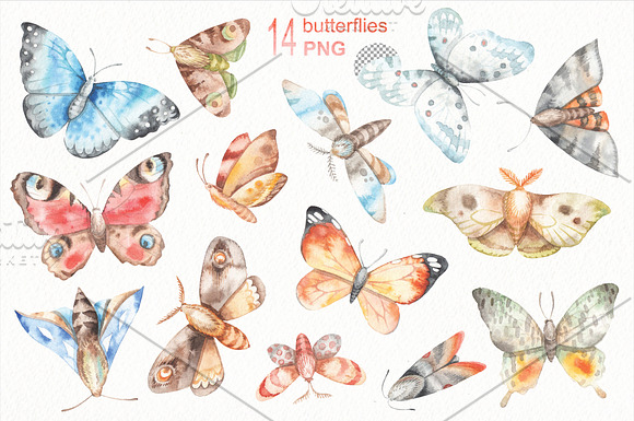 watercolor butteflies set in Illustrations - product preview 1