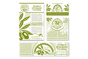 Olive oil and fruit sketch business template set