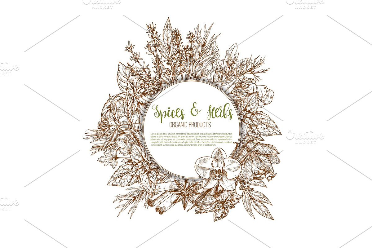 Spices, herbs and leaf vegetable seasoning poster in Graphics - product preview 8