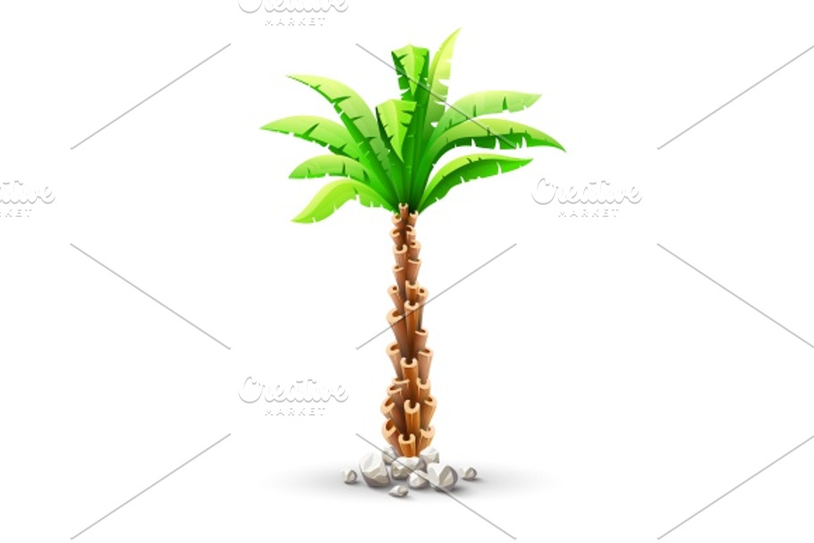 Tropical coconut palm tree with green in Illustrations - product preview 8