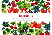 Berry and fruit cartoon poster template design