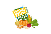 WOW offer discount poster with fresh vegetable