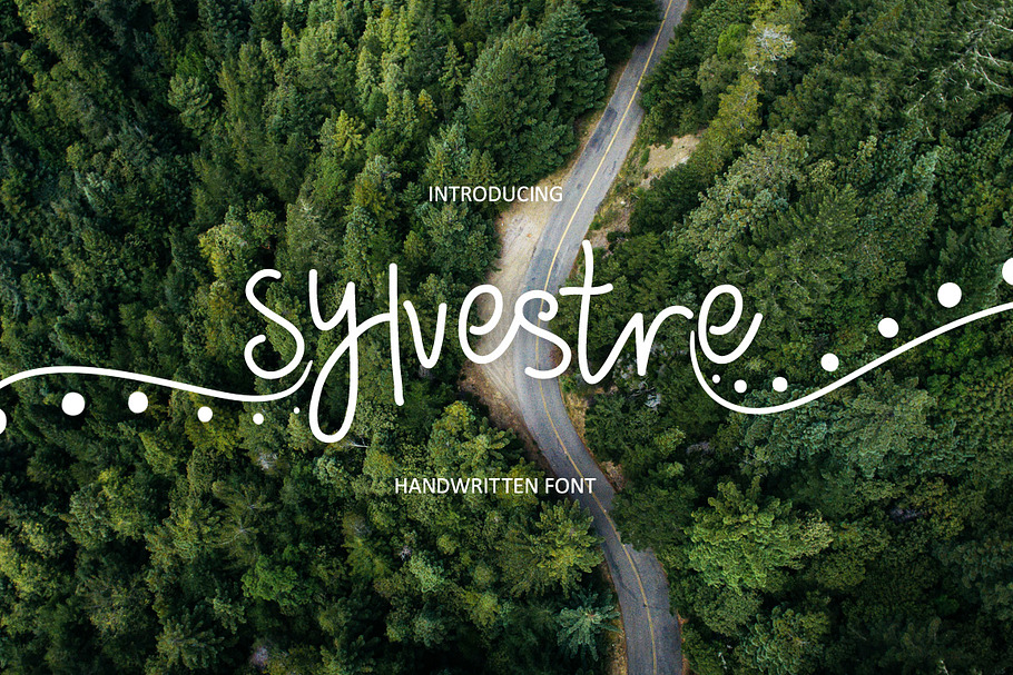 Sylvestre nature handwritten font in Script Fonts - product preview 8