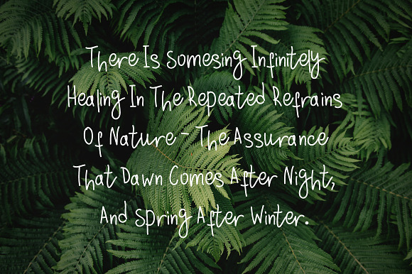 Sylvestre nature handwritten font in Script Fonts - product preview 5