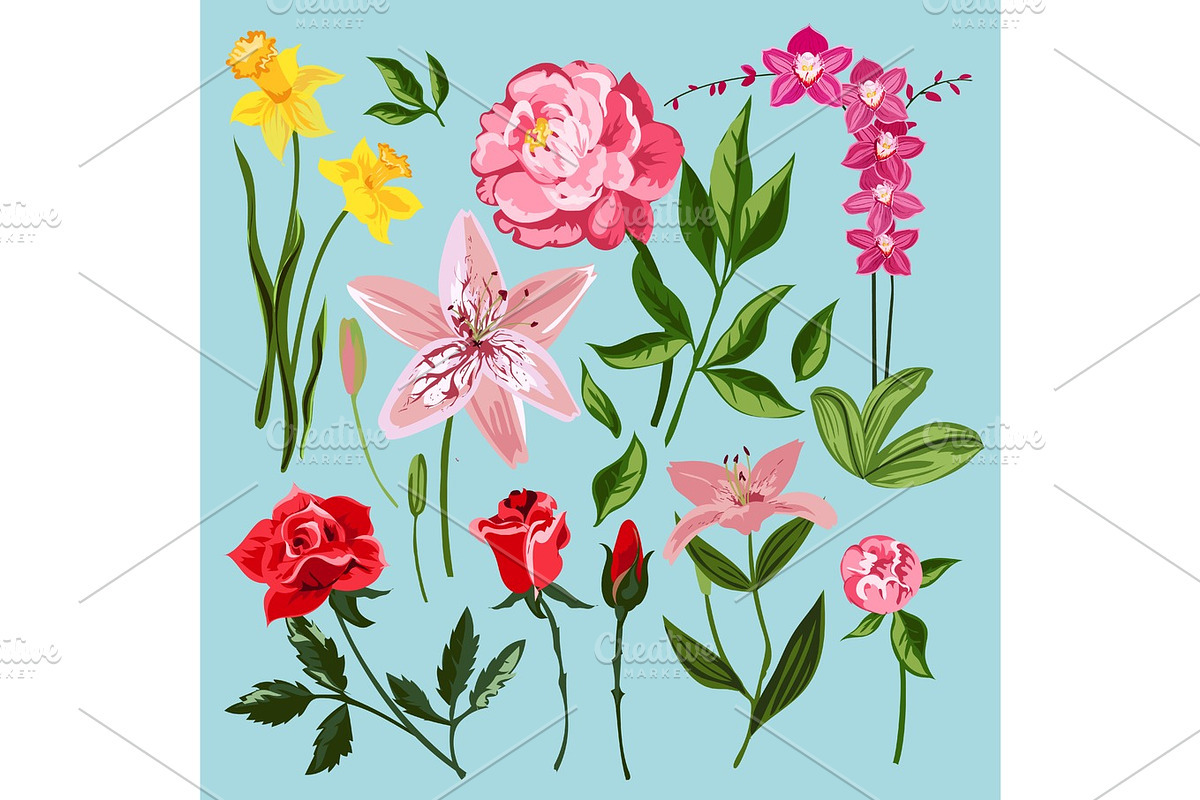 Vintage flowers vector illustration. in Illustrations - product preview 8