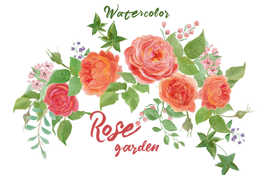 Rose garden in Illustrations - product preview 8