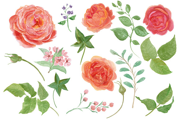 Rose garden in Illustrations - product preview 1