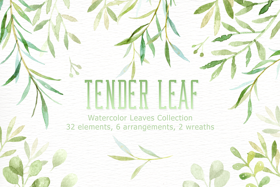 Tender Leaf Watercolor clipart in Illustrations - product preview 8