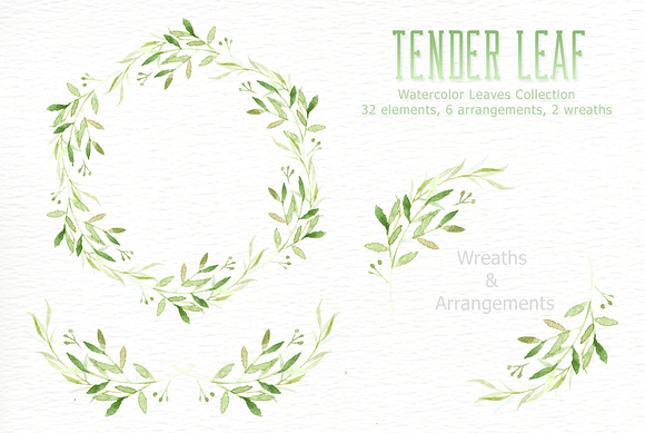 Tender Leaf Watercolor clipart in Illustrations - product preview 1