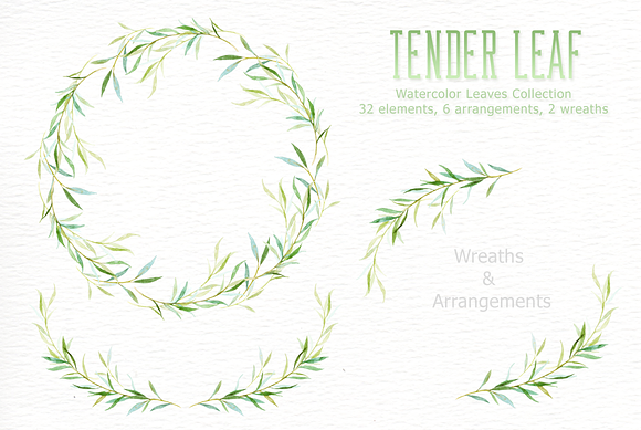 Tender Leaf Watercolor clipart in Illustrations - product preview 2