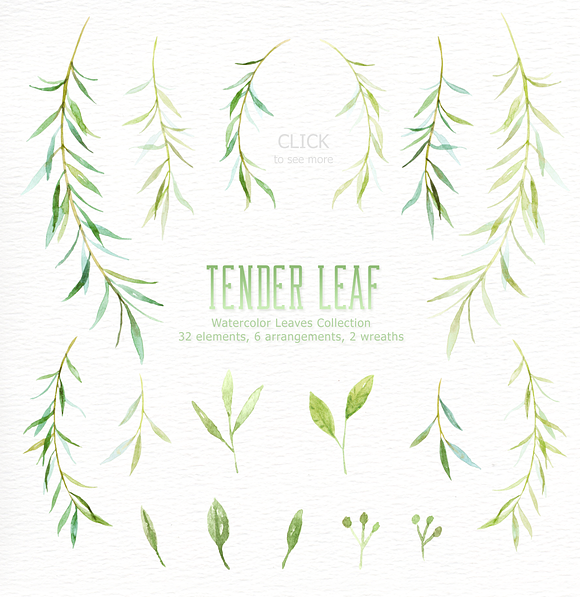 Tender Leaf Watercolor clipart in Illustrations - product preview 3