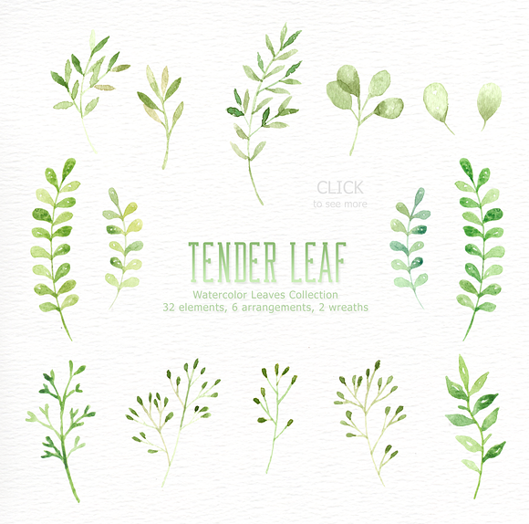 Tender Leaf Watercolor clipart in Illustrations - product preview 4