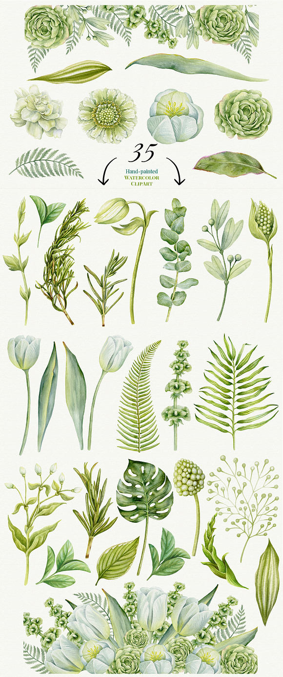 Greenery Bundle. 3 sets included. in Illustrations - product preview 1