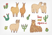 Cute lama, alpaca and cactuses