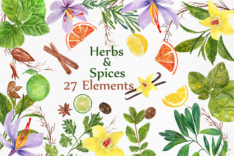 watercolor Herbs and spices clipart