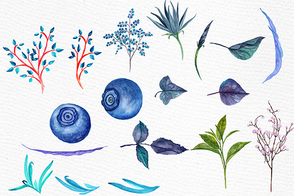 Watercolor flowers clipart in Illustrations - product preview 2