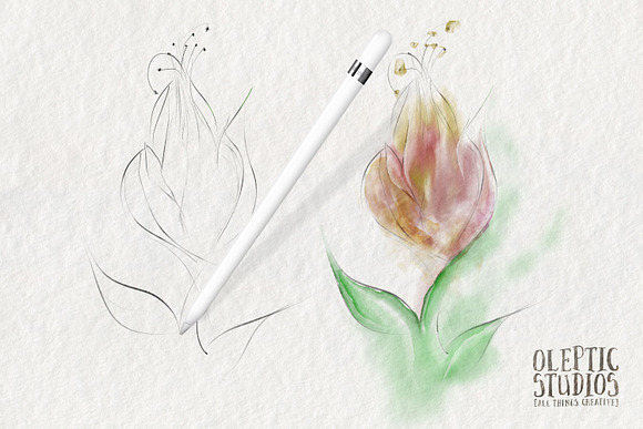 Best Watercolor Brushes — Procreate in Photoshop Brushes - product preview 3