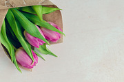 Bouquet of tulips on light background