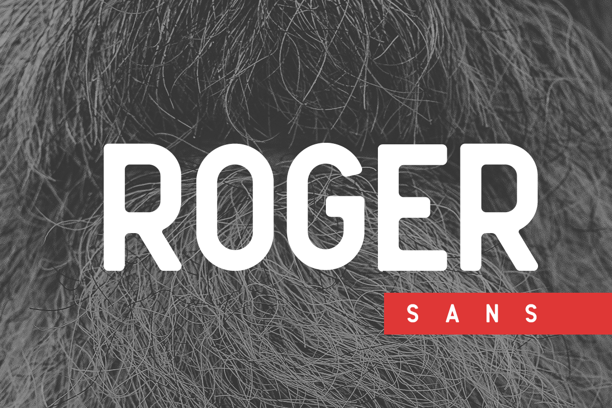 Roger Sans in Sans-Serif Fonts - product preview 8