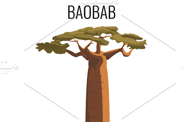 African baobab tree icon emblem with text isolated on white
