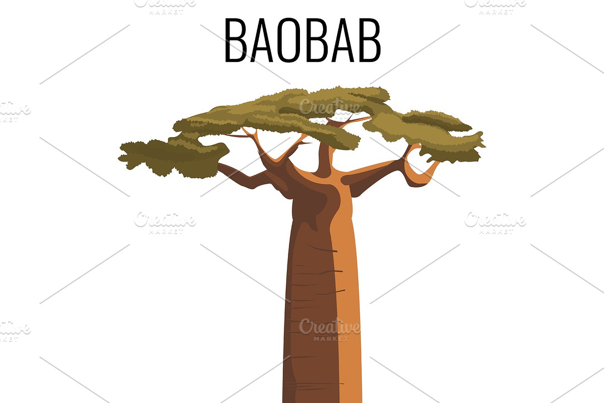 African baobab tree icon emblem with text isolated on white in Illustrations - product preview 8