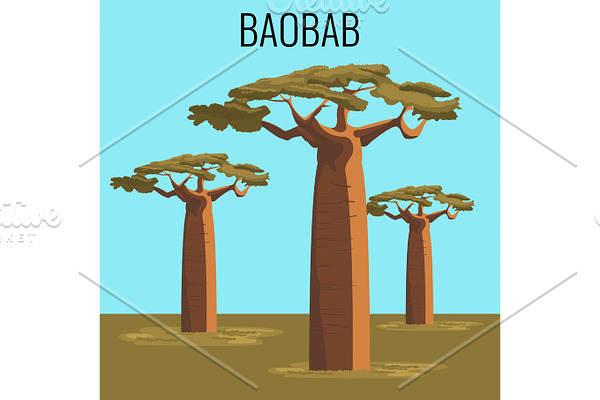 African baobab tree icon emblem