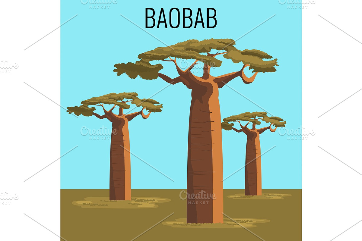 African baobab tree icon emblem in Illustrations - product preview 8