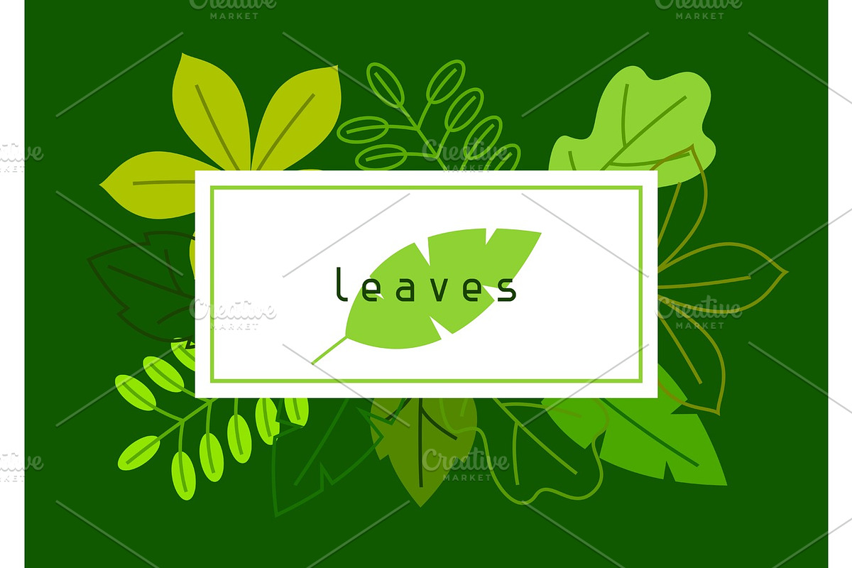 Natural card with stylized green leaves. Spring or summer foliage in Illustrations - product preview 8