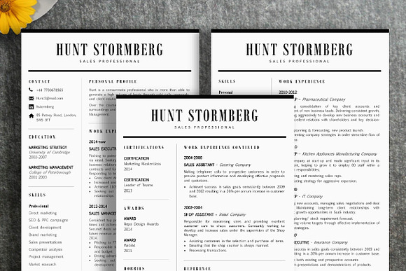 Resume Template | Hunt in Resume Templates - product preview 2