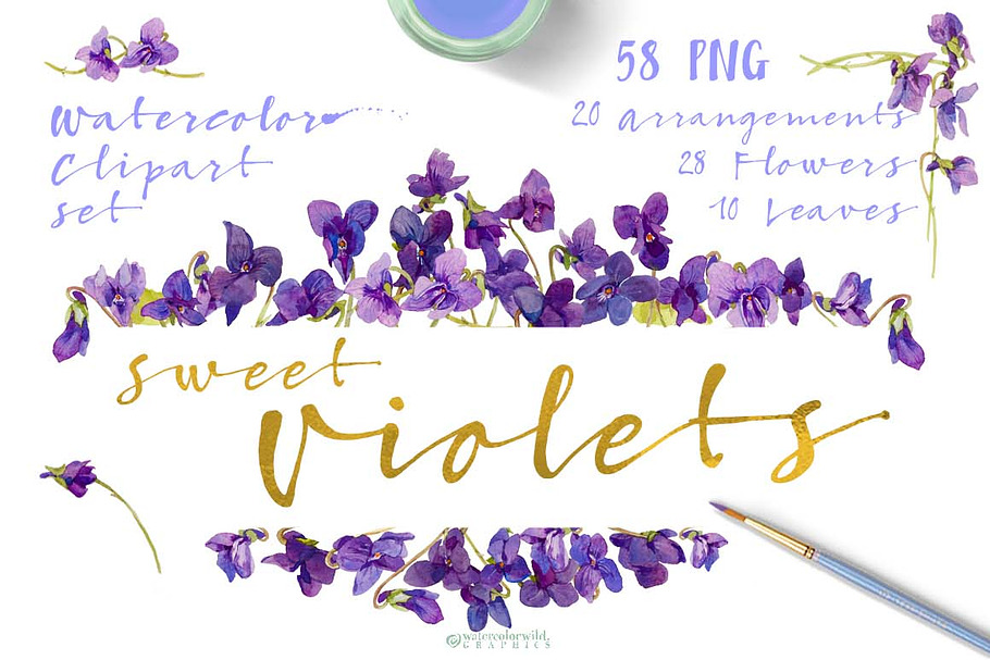 Sweet Violets in Illustrations - product preview 8