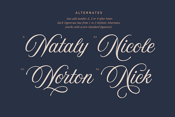 Aurora Script + Frames in Wedding Fonts - product preview 4