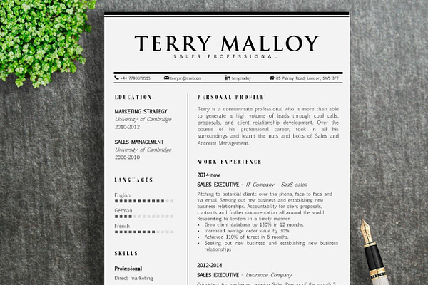 Resume Template | Terry