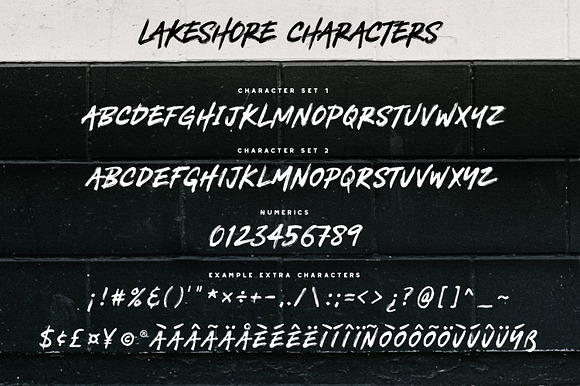 Lakeshore Brush Font in Brush Fonts - product preview 5