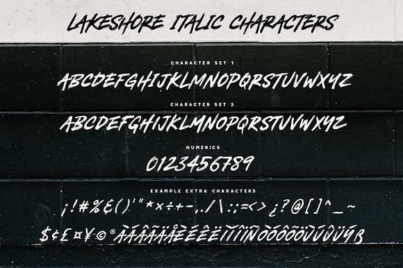 Lakeshore Brush Font in Brush Fonts - product preview 6